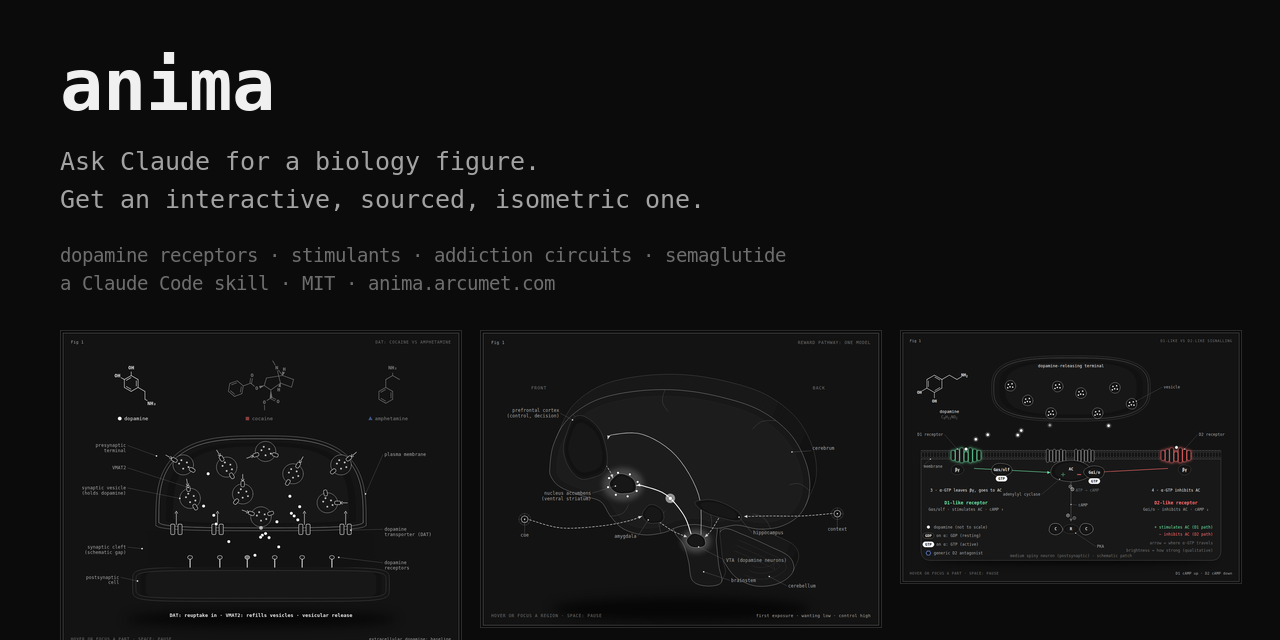 anima website preview