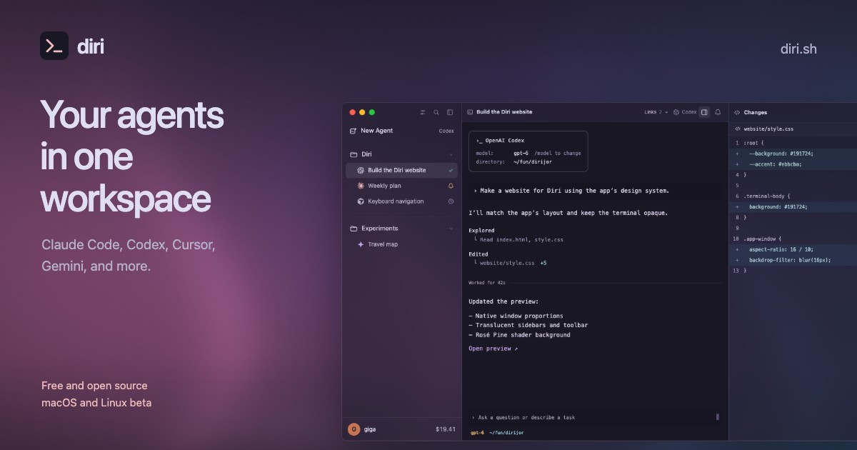 diri website preview