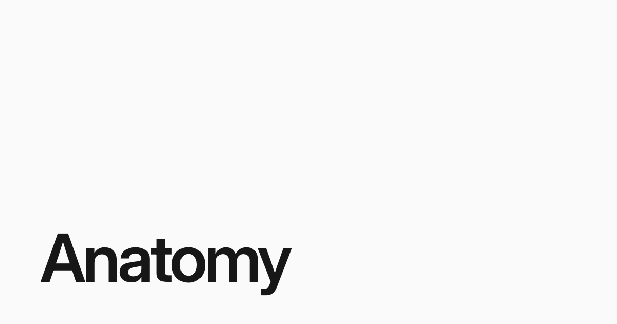 anatomy website preview