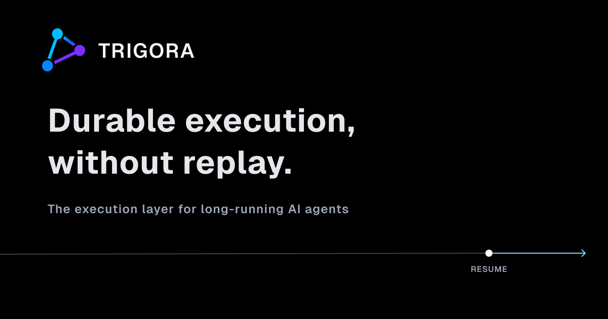 trigora website preview
