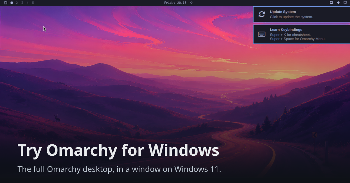 try-omarchy-windows website preview