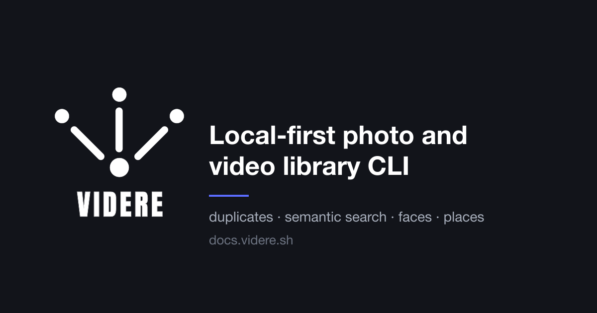videre website preview